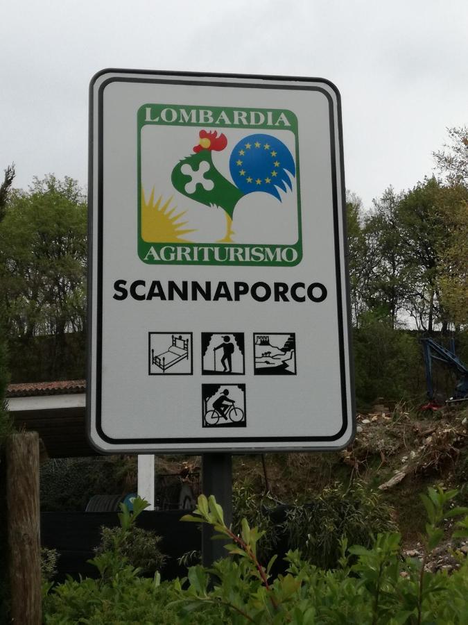 Agriturismo Scannaporco Cavriana Eksteriør billede
